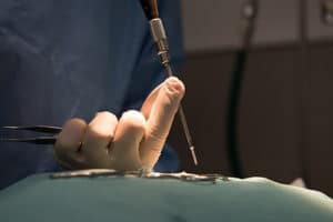 veterinaire lyon mermoz chirurgie orthopédique