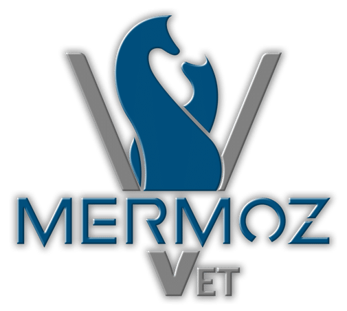 Logo Mermoz