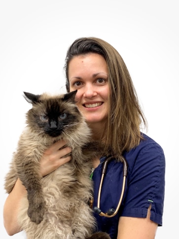 Veterinaire Lyon 8 eme - Clinique Vétérinaire MERMOZ