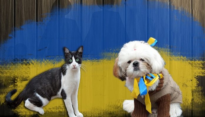 Rage et animaux domestiques ukrainiens