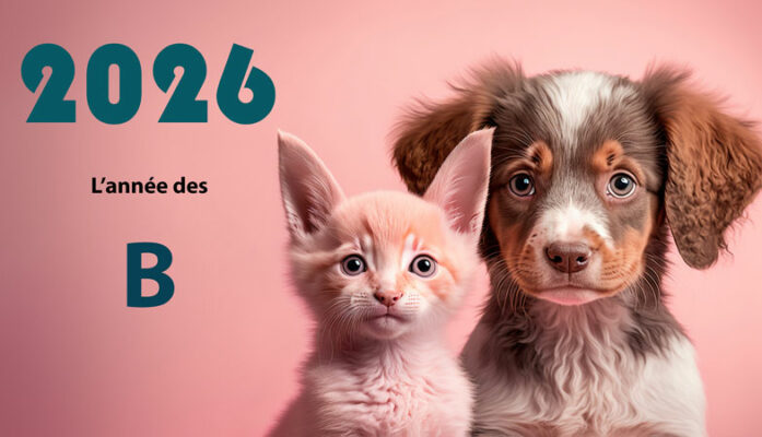🐾 2026 : L’année des B 🐾